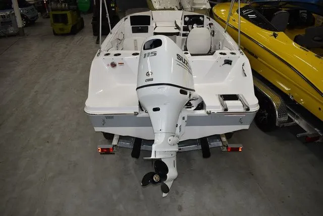 Slide: The Image of Stingray 172 DC 2025 - 6