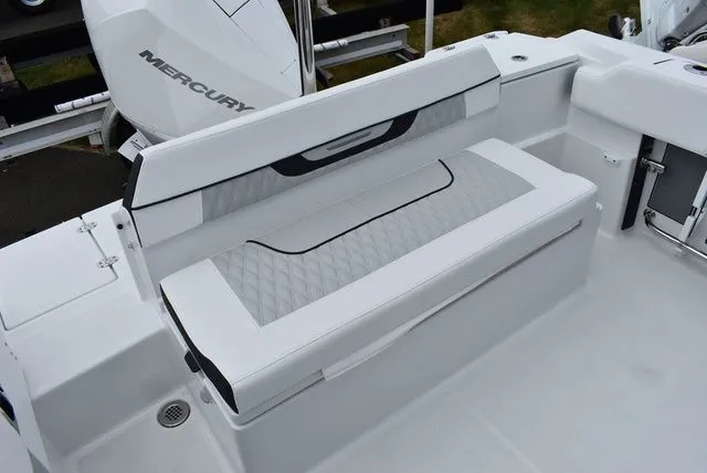 Slide: The Image of Blackfin 222 CC 2024 - 29