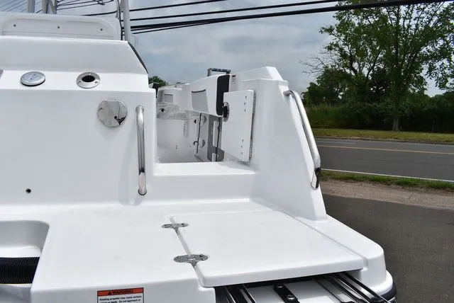 Slide: The Image of Blackfin 222 CC 2024 - 73