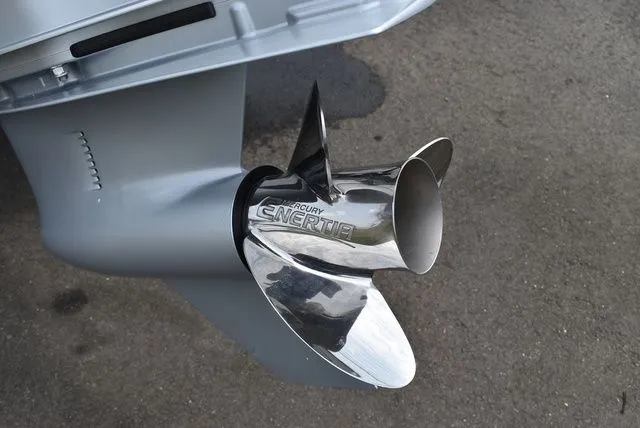 Slide: The Image of Blackfin 222 CC 2024 - 74