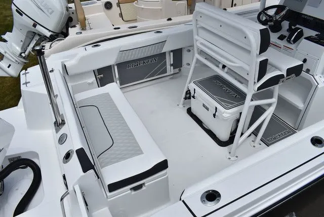 Slide: The Image of Blackfin 222 CC 2024 - 9