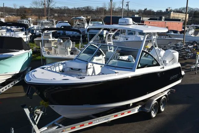 Slide: The Image of Blackfin 252 DC 2024 - 2