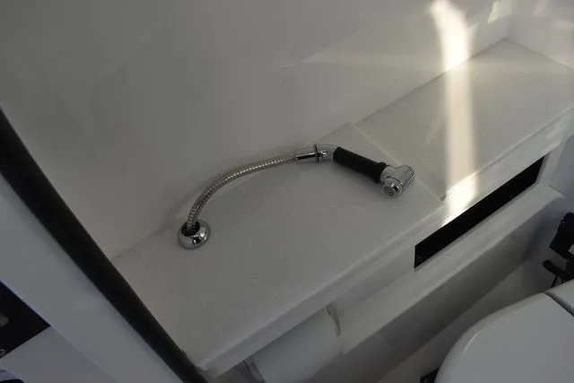 Slide: The Image of Blackfin 252 DC 2024 - 37