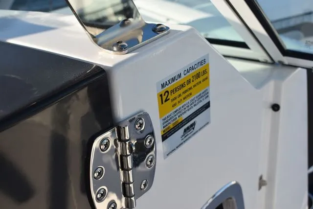 Slide: The Image of Blackfin 252 DC 2024 - 53