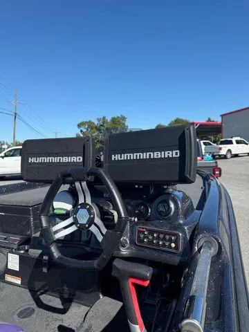 Slide: The Image of Bass Cat Eyra 2021 - 10