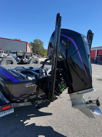 Slide: The Image of Bass Cat Eyra 2021 - 3