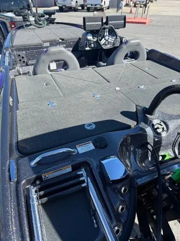 Slide: The Image of Bass Cat Eyra 2021 - 5