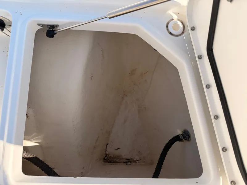 Slide: The Image of World Cat 320 CC 2019 - 36