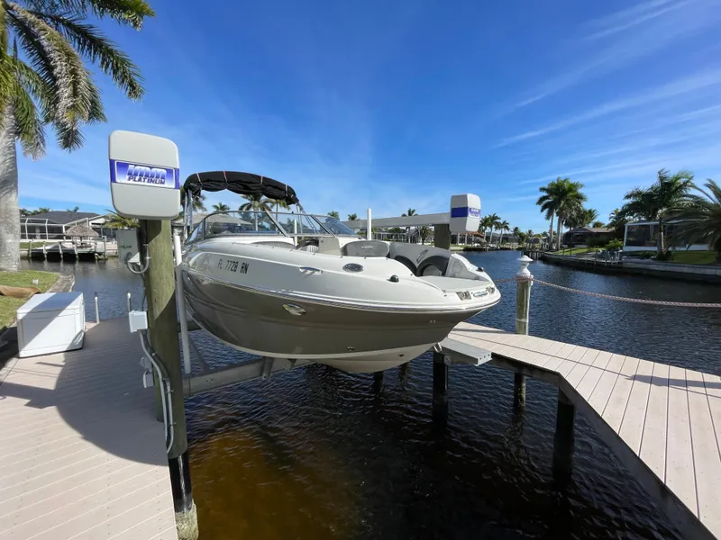 The Image of Stingray 214 LR 2018 - 0