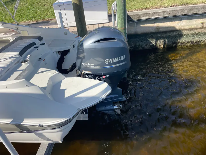 Slide: The Image of Stingray 214 LR 2018 - 66