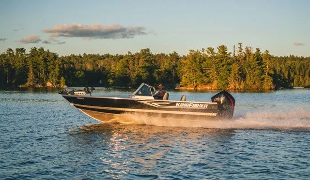 The Image of Kingfisher 2125 Arrow Sport 2026 - 1