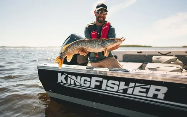 Slide: The Image of Kingfisher 2125 Arrow Sport 2026 - 16