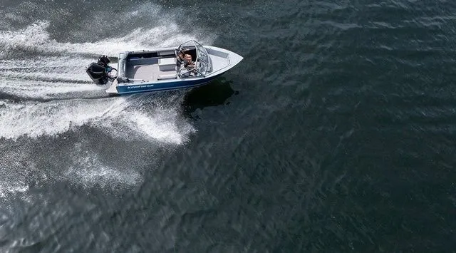 Slide: The Image of Kingfisher Escape 2025 2026 - 4