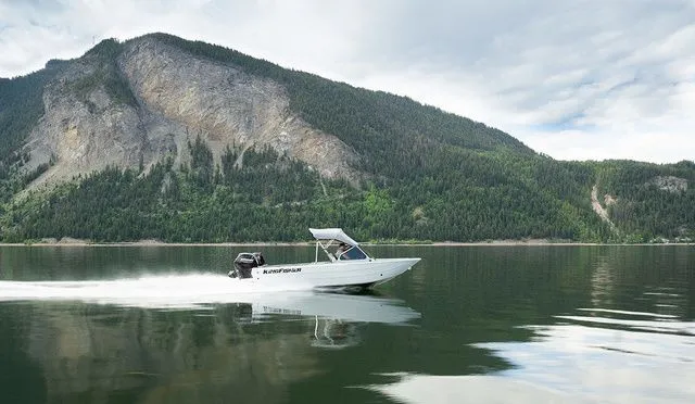 The Image of Kingfisher Falcon 1825 2026 - 1