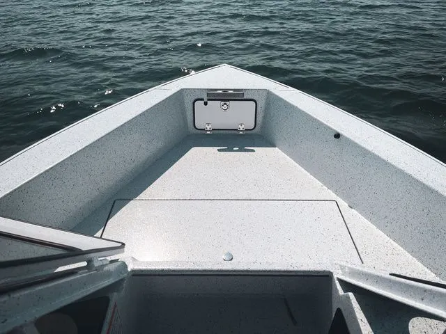 Slide: The Image of Kingfisher Falcon 1825 2026 - 14