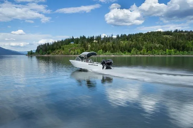 Slide: The Image of Kingfisher Falcon 1825 2026 - 16