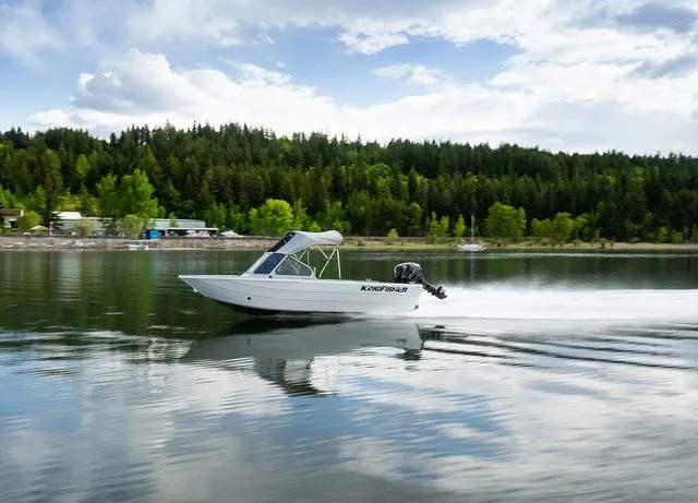 Slide: The Image of Kingfisher Falcon 1825 2026 - 3