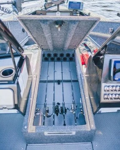 Slide: The Image of Kingfisher Arrow Sport 1925 2026 - 10