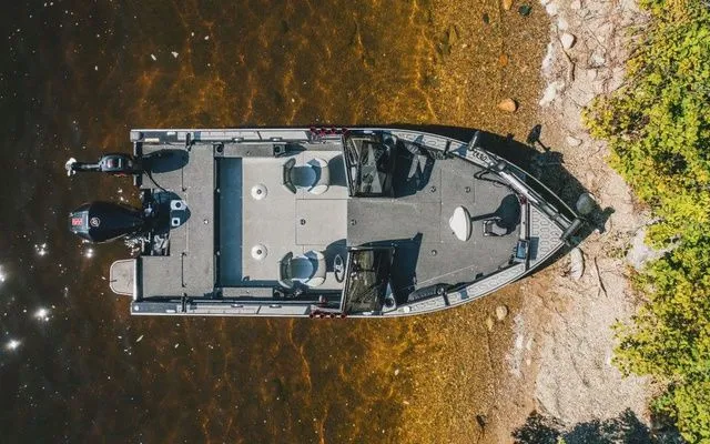 Slide: The Image of Kingfisher Arrow Sport 1925 2026 - 5