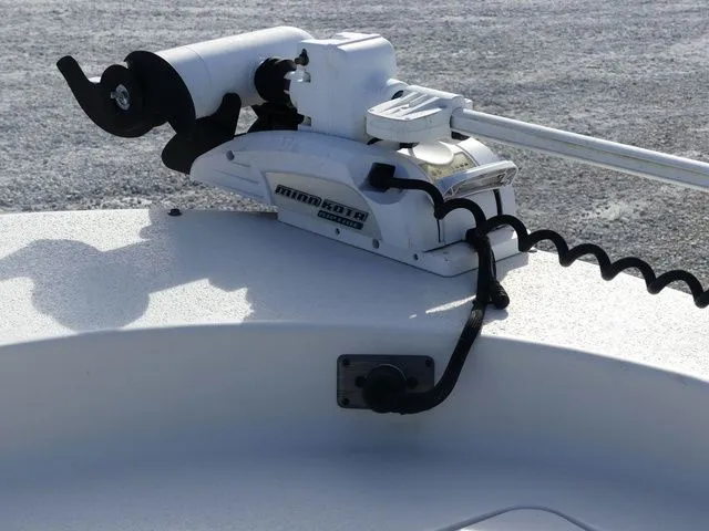 Slide: The Image of Carolina 218 DLV 2018 - 10