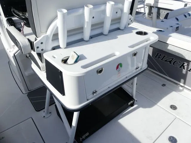 Slide: The Image of Blackfin 252 CC 2023 - 15