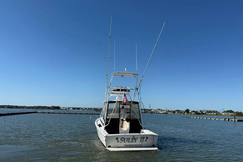 Slide: The Image of 1997 Blackfin Combi 33 boat on calm water under clear blue sky. - 41