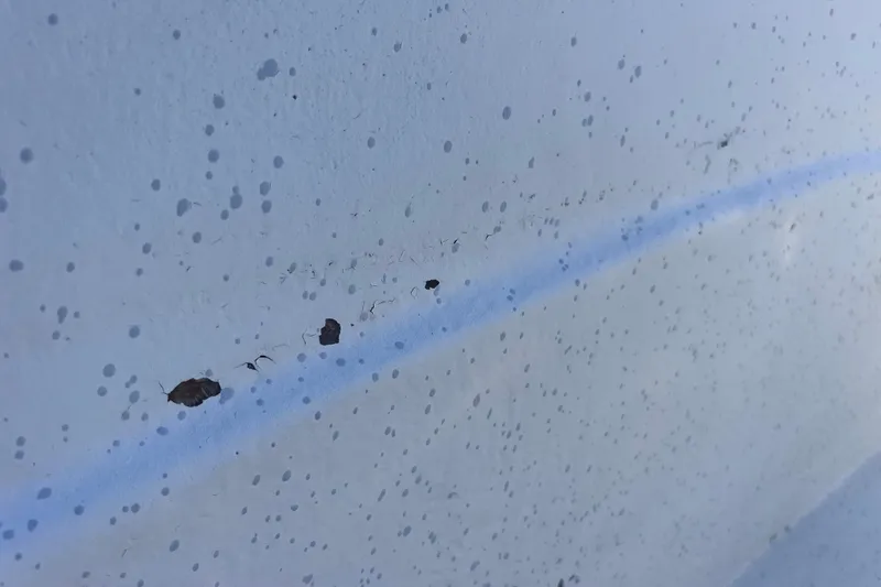 Slide: The Image of Close-up of 2013 Carolina Skiff 218 DLV hull with visible paint damage. - 36