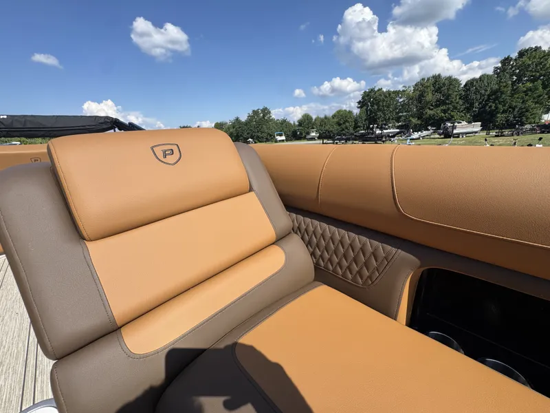 Slide: The Image of Premier 250 Solaris RS 2026 - 31