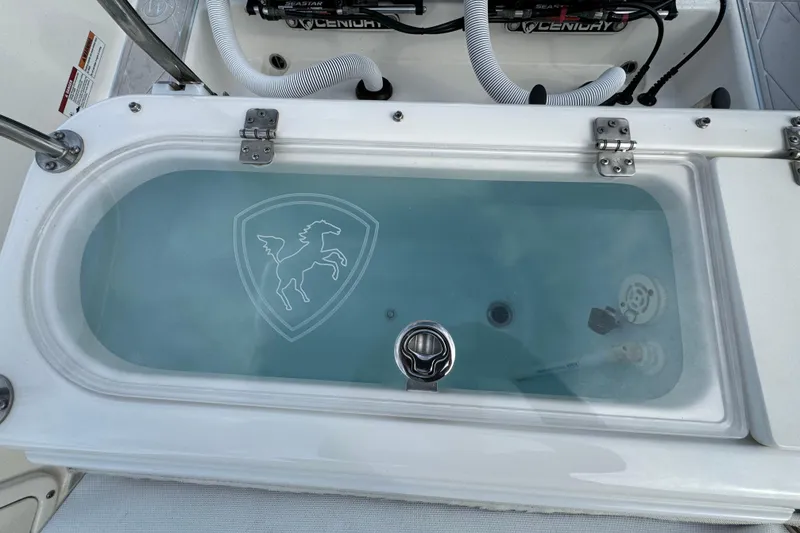 Slide: The Image of Livewell on 2015 Century 2600 CC boat with horse emblem, filled with water. - 77