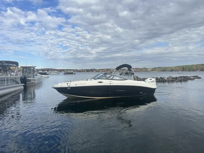 Slide: The Image of Stingray 231 DC 2020 - 1