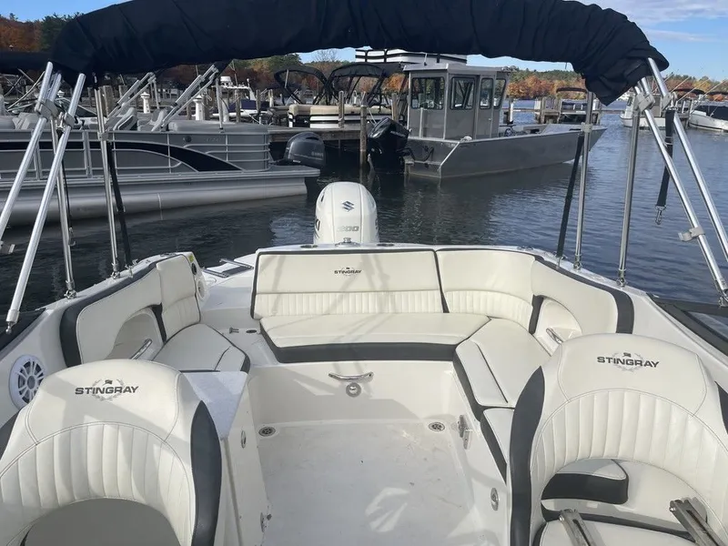 Slide: The Image of Stingray 231 DC 2020 - 17