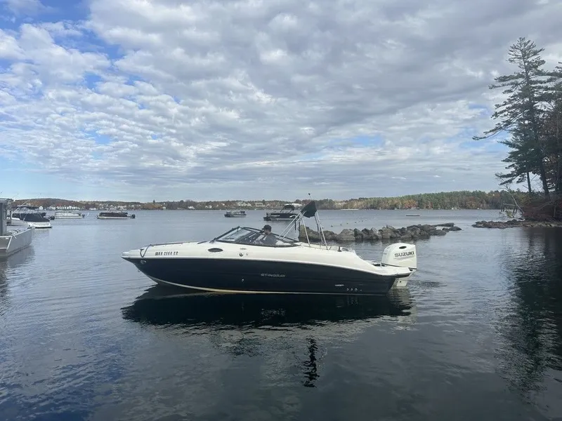 Slide: The Image of Stingray 231 DC 2020 - 3