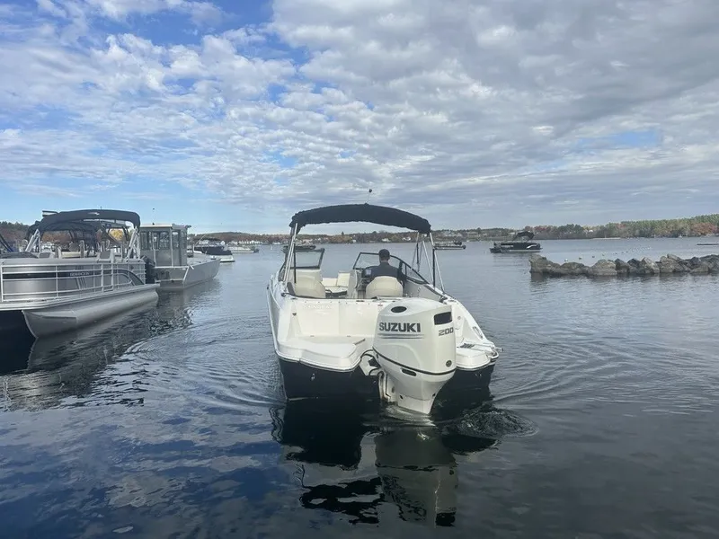 Slide: The Image of Stingray 231 DC 2020 - 5