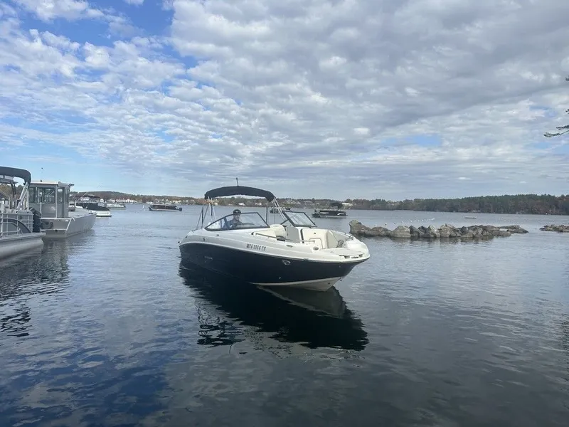 Slide: The Image of Stingray 231 DC 2020 - 6