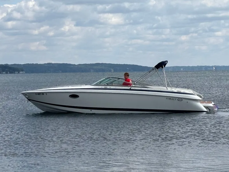 The Image of Cobalt 263 2001 - 1