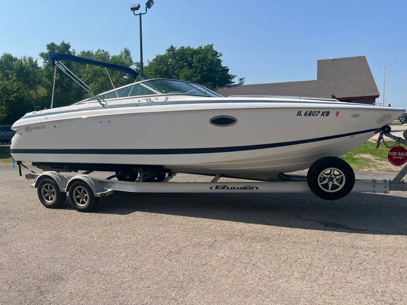 Slide: The Image of Cobalt 263 2001 - 96