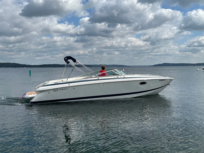 Slide: The Image of Cobalt 263 2001 - 54