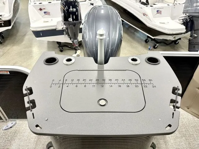 Slide: The Image of Bennington S Fish 22 SF 2026 - 6