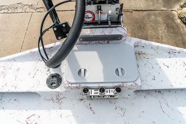 Slide: The Image of Shoalwater 19 Cat 2021 - 5