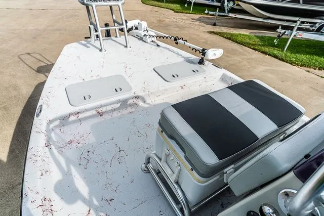 Slide: The Image of Shoalwater 19 Cat 2021 - 8