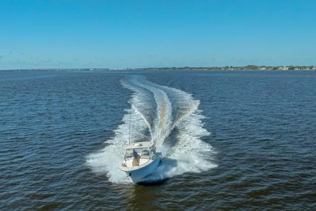 Slide: The Image of 2017 Grady-White Freedom 307 boat cruising on open water under clear blue sky. - 38