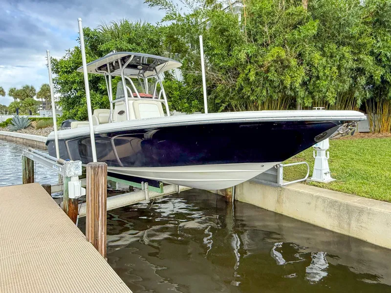 The Image of Blackwood 27cc 2012 - 0