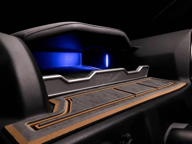 Slide: The Image of Tigé Z5 2024 - 10