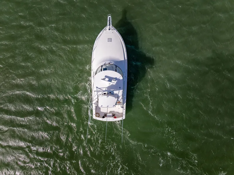 Slide: The Image of Viking 42 Open 2011 - 10