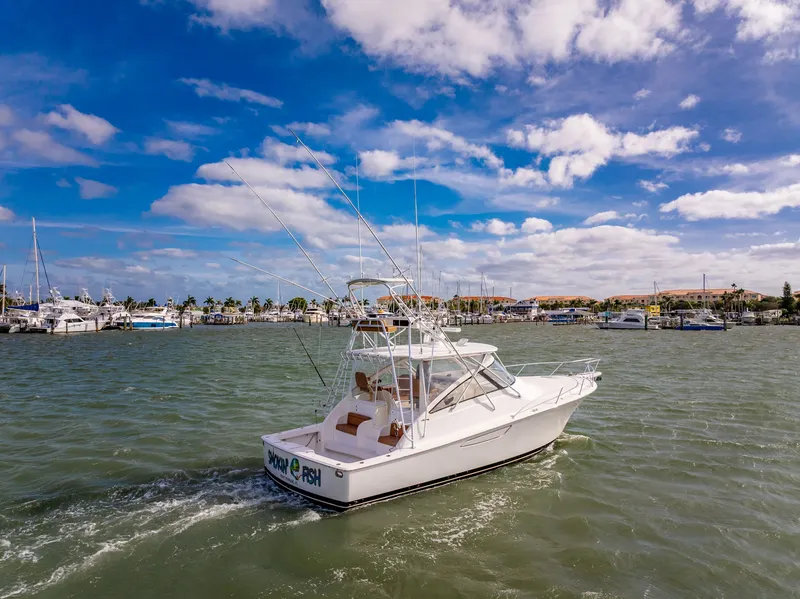 Slide: The Image of Viking 42 Open 2011 - 16