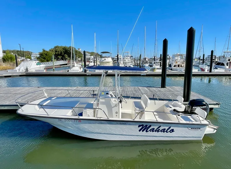 Slide: The Image of Boston Whaler 210 MTK 2017 - 9