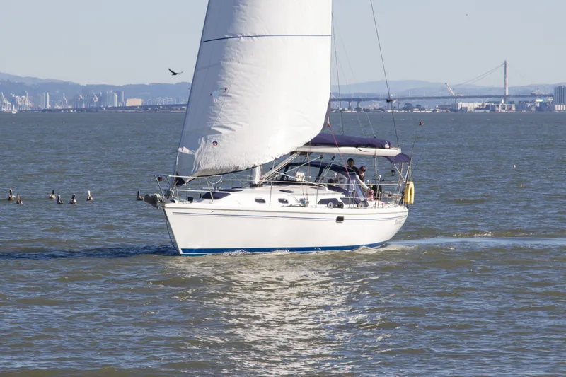 Slide: The Image of 2008 Catalina 42 MkII sailboat cruising on open water with cityscape in background. - 0