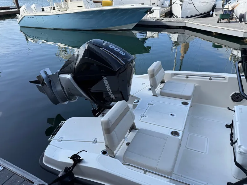 Slide: The Image of Boston Whaler 250 Dauntless 2024 - 3
