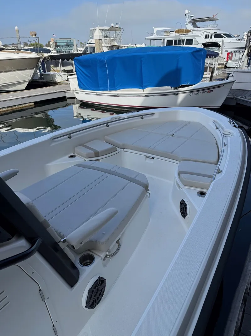 Slide: The Image of Boston Whaler 250 Dauntless 2024 - 5