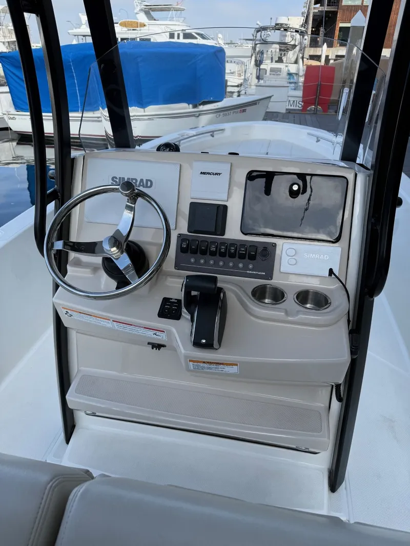 Slide: The Image of Boston Whaler 250 Dauntless 2024 - 6